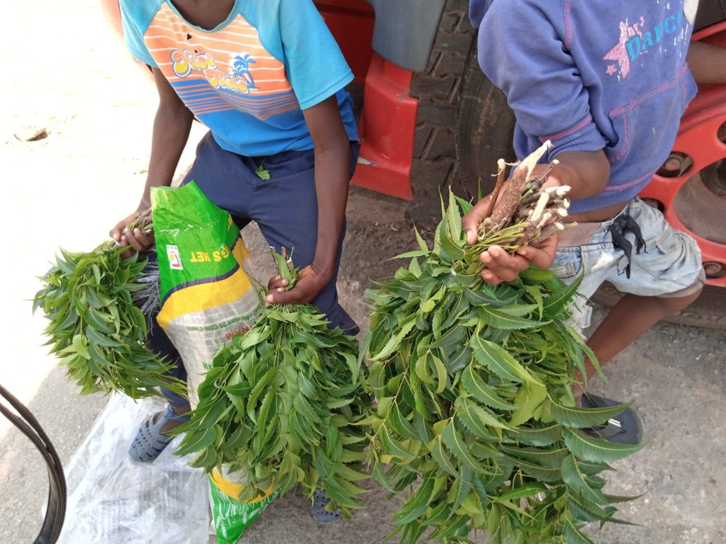 Article : Lutte contre le Covid-19 : des éclairages de Dr Koffi Didier 2/2