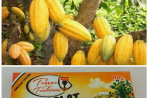 Article : Maneky groupe, du cacao au chocolat  »made in Côte d’Ivoire »