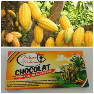 Article : Maneky groupe, du cacao au chocolat  »made in Côte d’Ivoire »